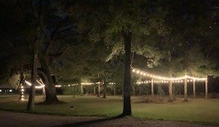 Games area under the oaks, lit with string lights at night
