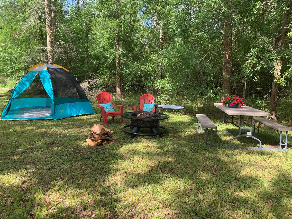 Tent pitched beside a fire pit, red chairs and a picnic table under the trees